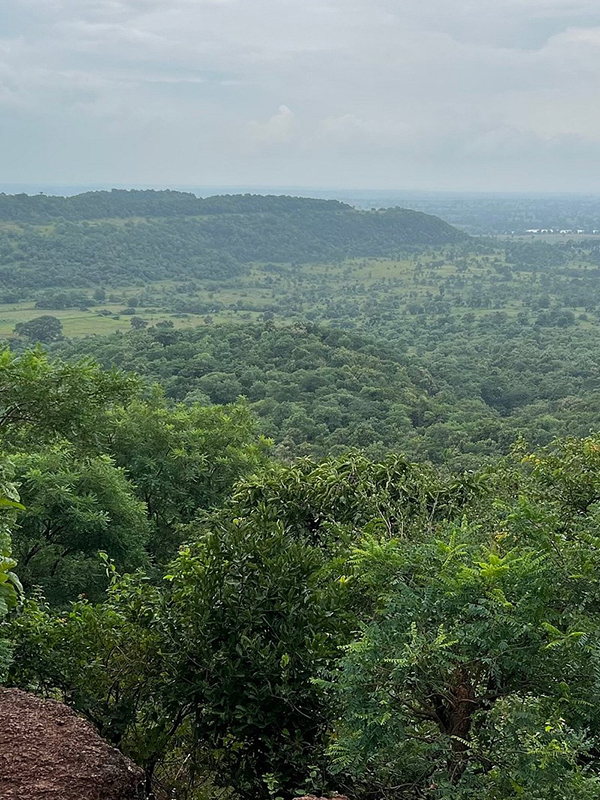12,000-acre Anantagiri Forest